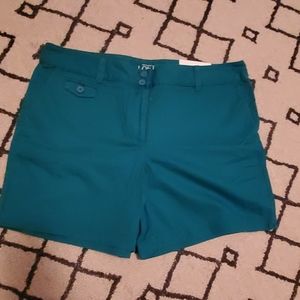 Ann Taylor Loft shorts